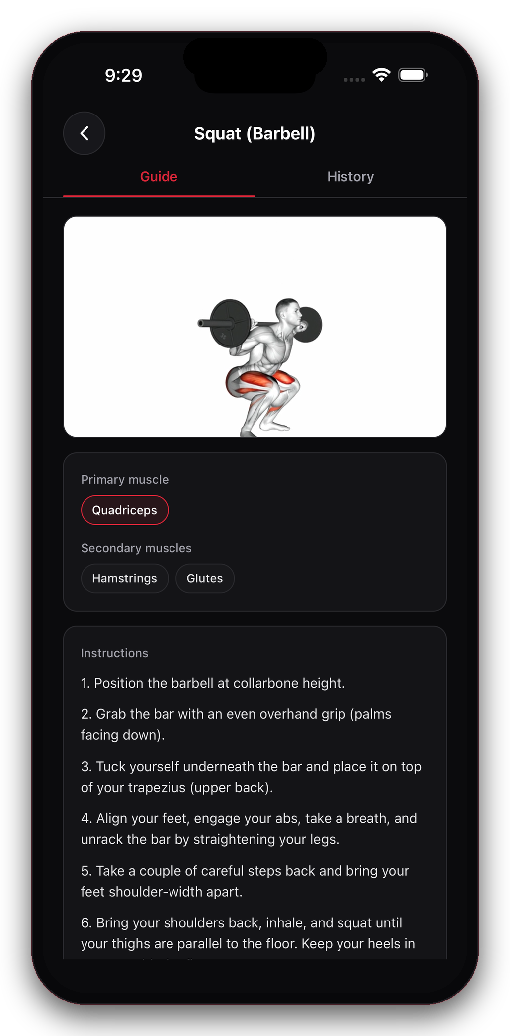 Exercise guide with muscles and instructions
